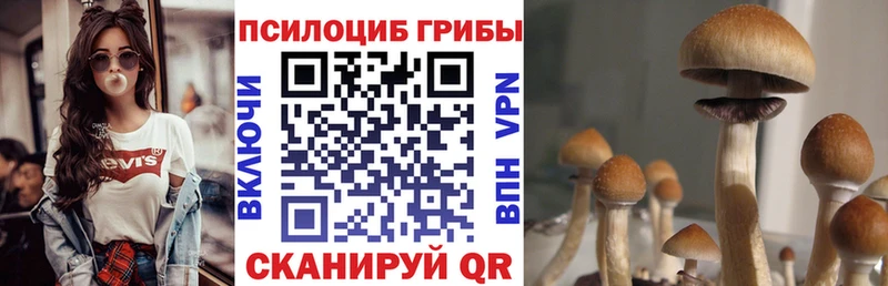 Псилоцибиновые грибы Magic Shrooms  Коммунар 